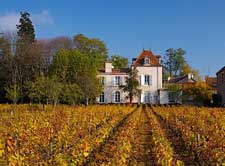 Domaine du Comte Sénard en Bourgogne